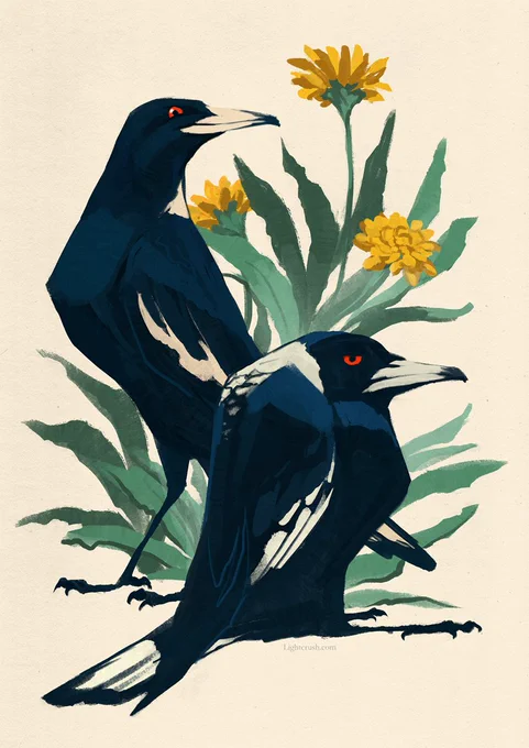 Hi #PortfolioDay!I'm Jenna and I'd love to draw birds for you. 