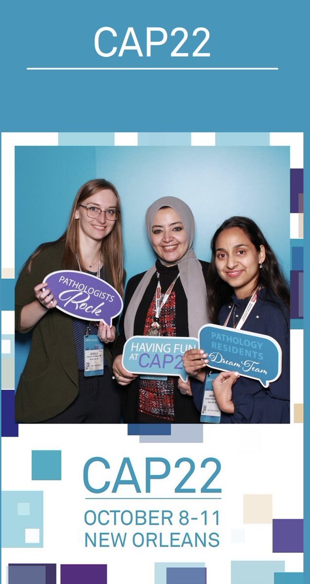 Mai Elzieny tweet media