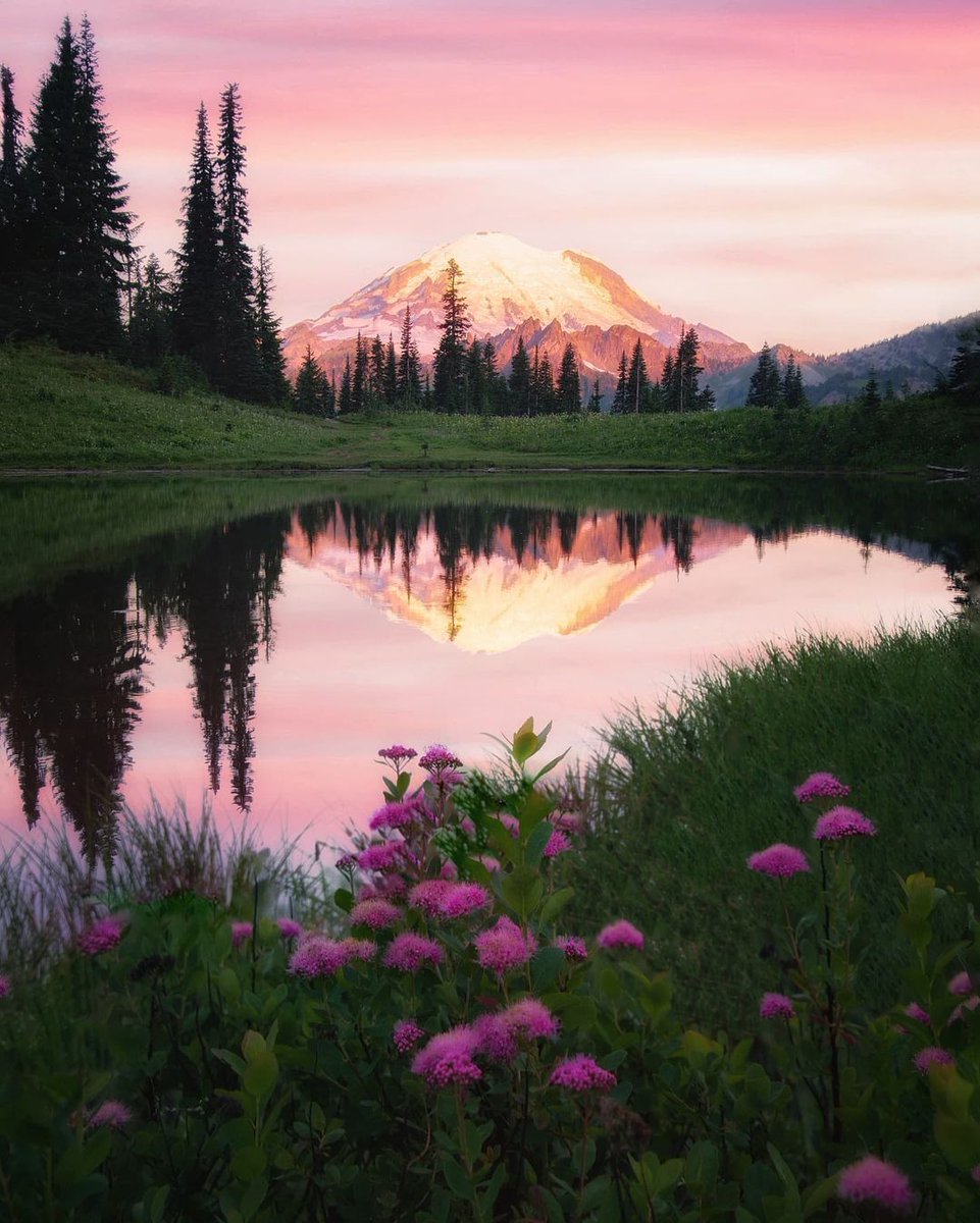 Fernand92542445's tweet photo. Pink Sunset
By kurtisminster
#landscape #nature #aesthetic #mountains #flowers #flowercore #meadowcore #NaturePhotography https://t.co/MfPxiFajbd