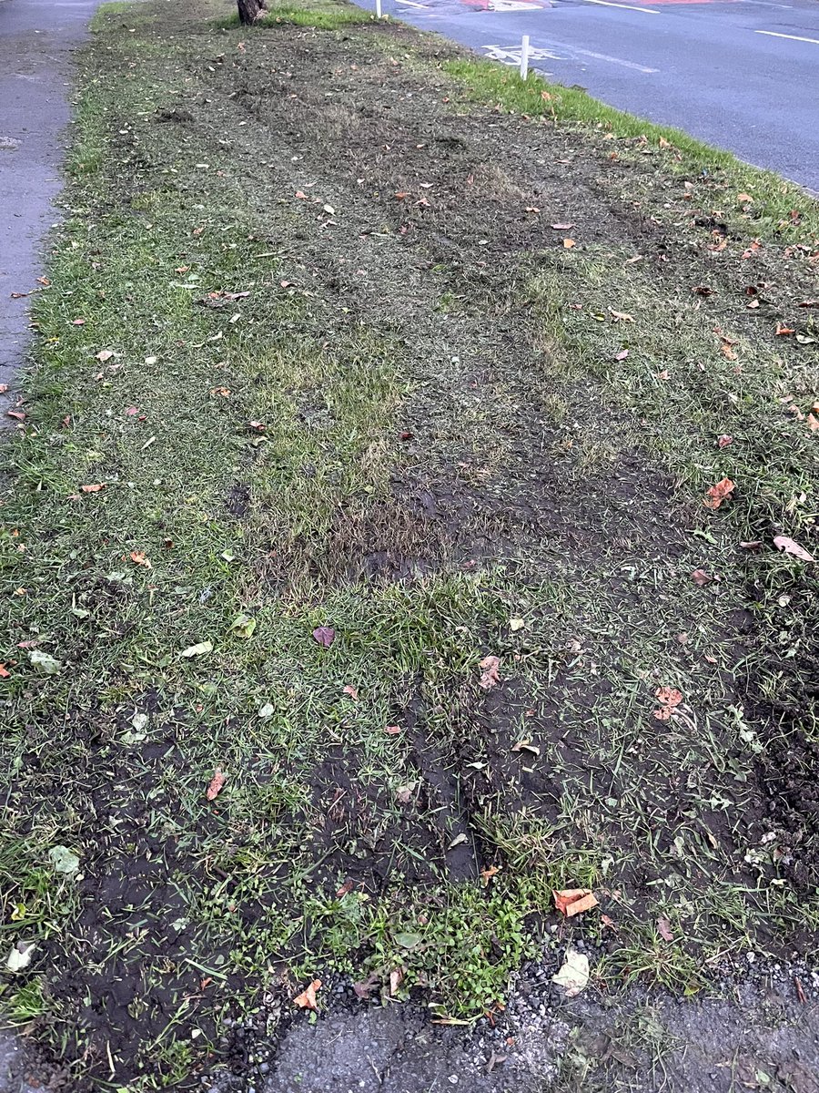 RobbieVigers's tweet photo. @TraffordCouncil were you mowing or ploughing the verges today? I have been mowing it for you during the summer; even put some grass seed down to mend it from last time you ruined it. Don’t worry the OAPs that live on the road have been clearing up your mess. Shambolic. https://t.co/3CiQ4uNjSA