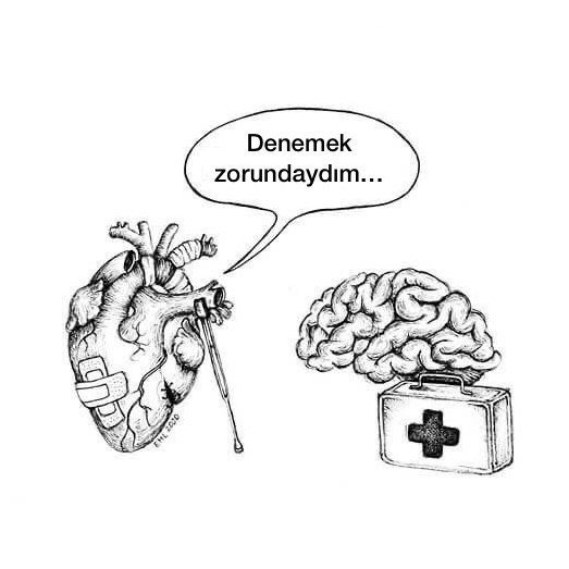 ErbenDeniz's tweet photo. https://t.co/OyBGAD5wUO