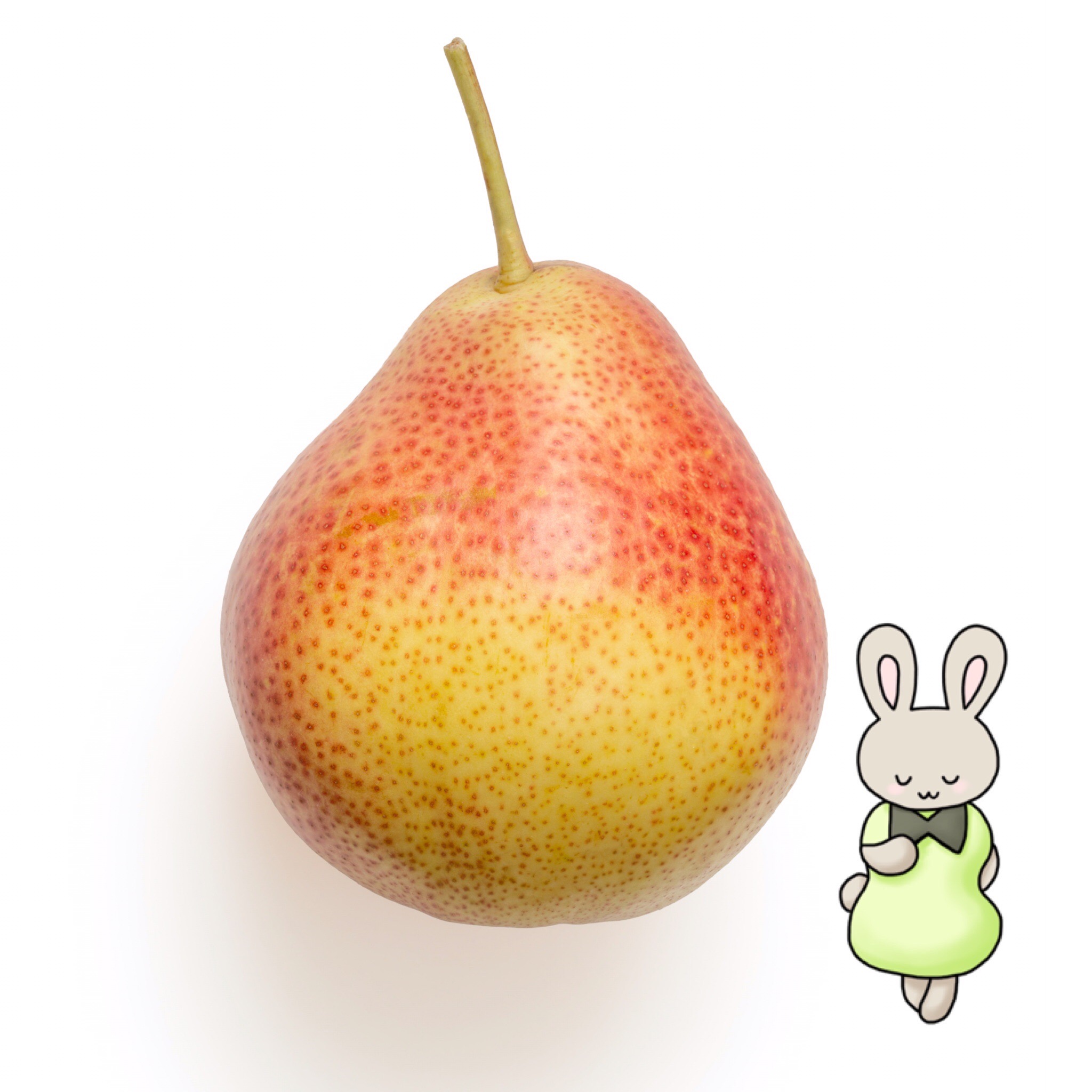 フルーツうさぎ Fruits Usagi Twitter