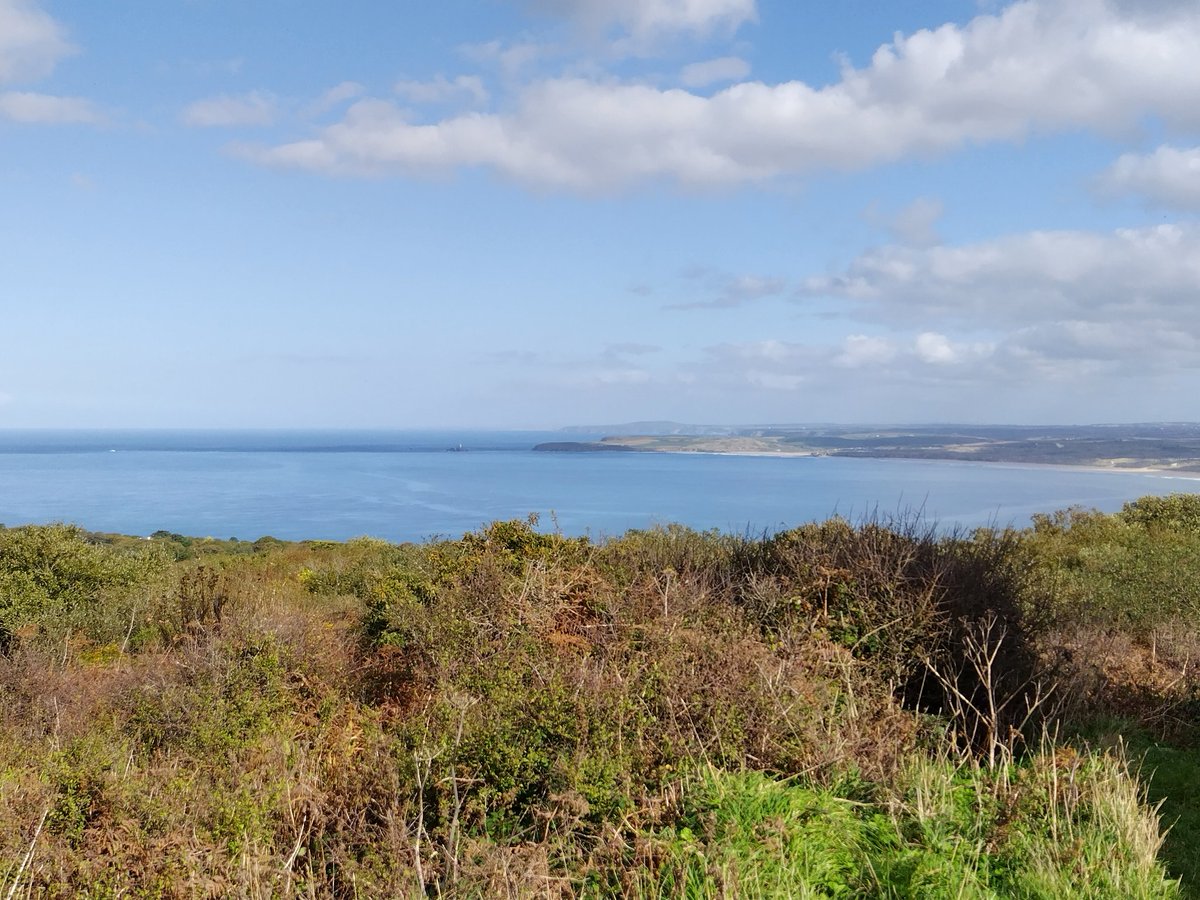 James Duffy tweet media