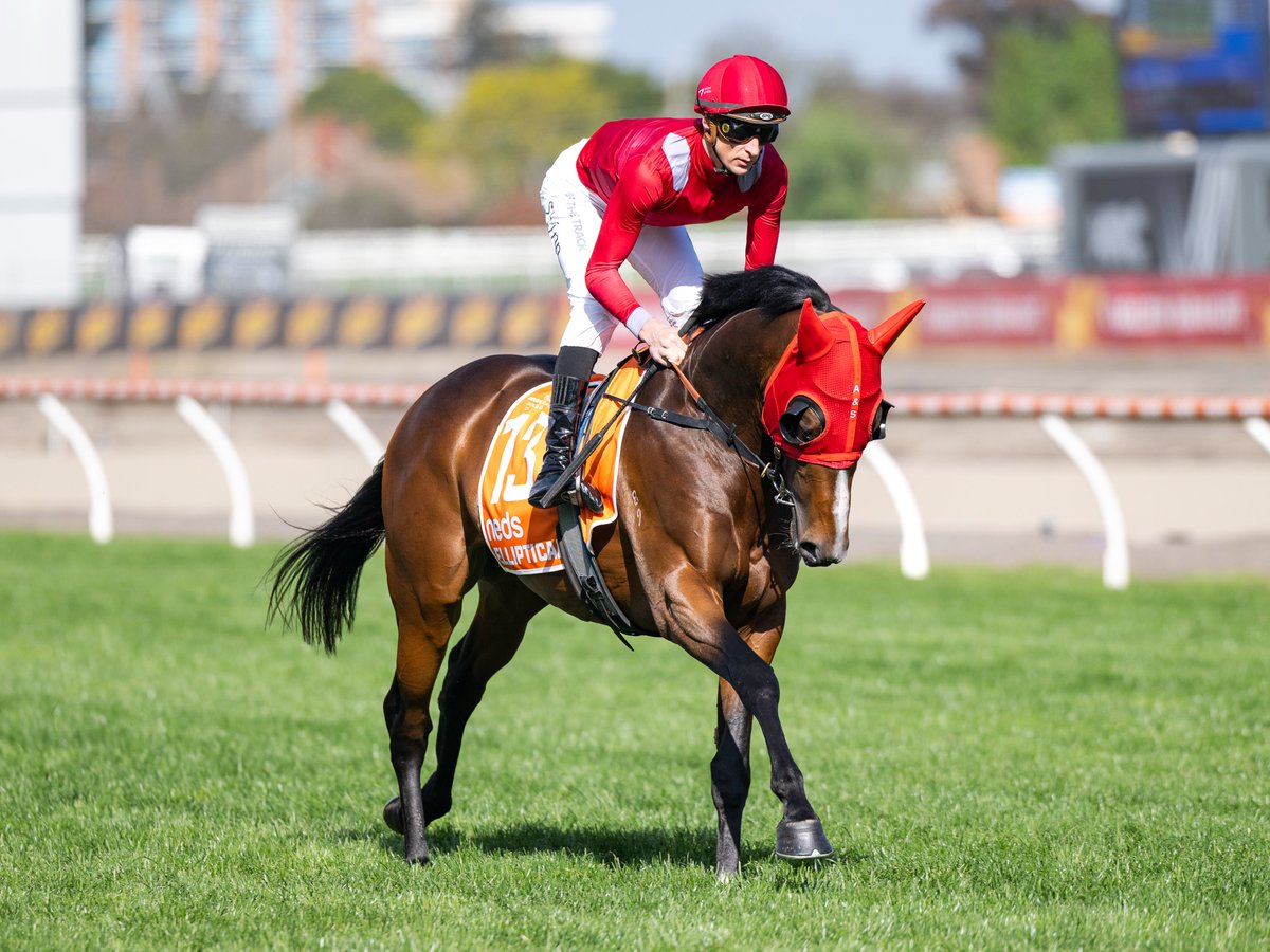 ArrowfieldStud's tweet photo. Interesting to see the 4x4 double-up of Fairy Bridge in the pedigree of Dundeel's G1 Caulfield Guineas runner-up Elliptical, through Sadler's Wells &amp; Perugino. A cross to keep an eye on perhaps? #dundeel #createyourgreatness https://t.co/7B2L99akOh