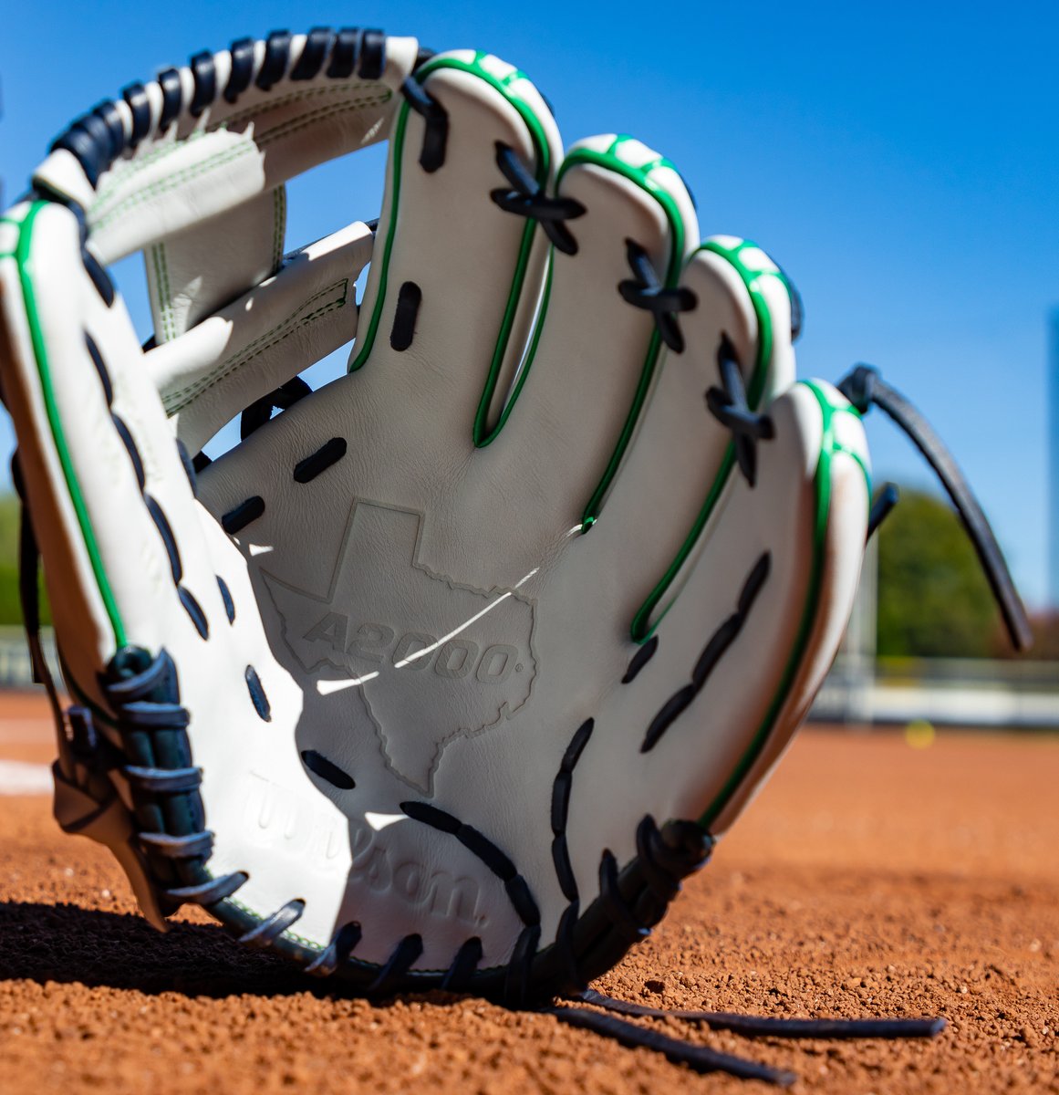 Notre Dame Softball tweet media