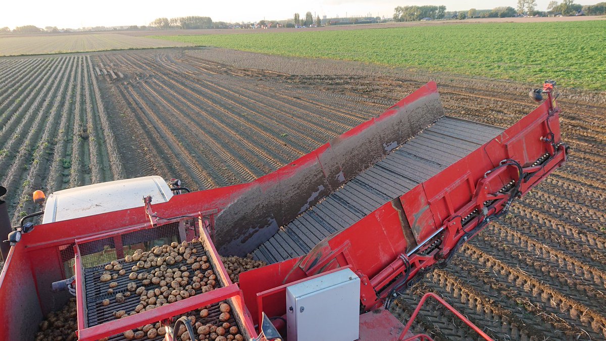 ih83_zvl's tweet photo. @ZltoZeeland @ZLTO Vandaag pootgoed aardappelen gerooid op de rode vierkante stip op de kaart. Door de kwel van het kanaal deze hoek met rotte aardappelen niet kunnen rooien. En nog 3 kleine plekjes. Dus belangrijk om hier werk van te maken. #kostenpost #onwerkbaar https://t.co/BUZbEGaERD