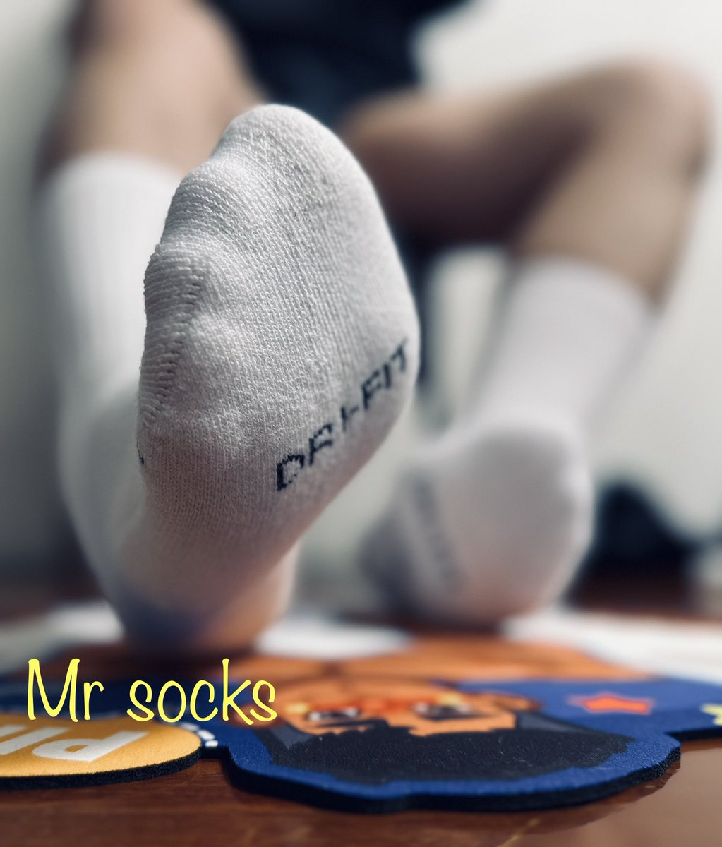 Mr socks tweet media
