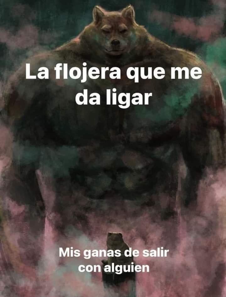 Capture Bizarre® (@capturebizarre) on Twitter photo 