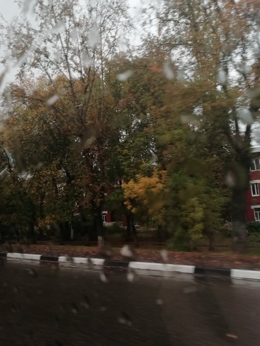 your_forest's tweet photo. Что такое осень? 🍁 https://t.co/MOpdc3qMjy