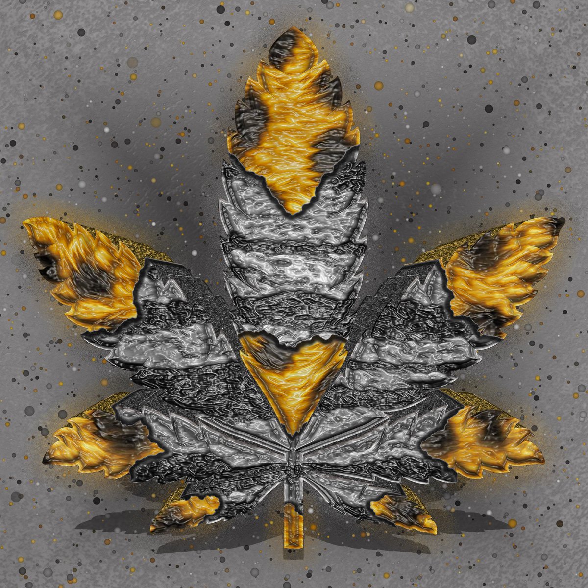 Zebra &amp; Cheetah??? We got all type of strains!! 🤣

-

#NFT #NFTs #NFTart #nftcommunity #NFTcollector #NFTcollectors #NFTdrop