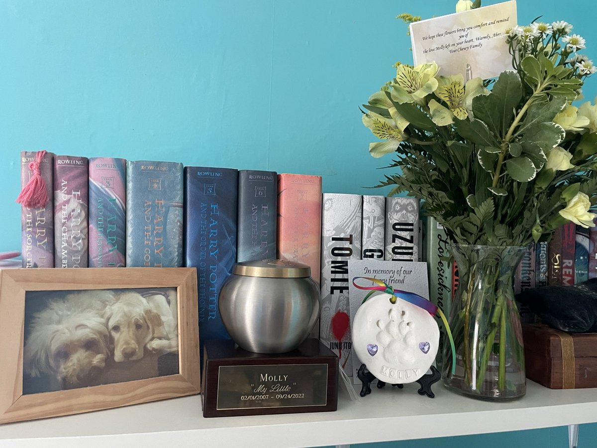 MeggiluHouse's tweet photo. I asked @Chewy if there was a way to memorialize Molly's profile &amp; not just delete it, &amp; they sent us flowers! Thank you so so much! Customer serv. wish you &amp; your pet a good day all the time, and that was hard because mine was gone. An option to memorialize would be so lovely! https://t.co/5WDNarGojW