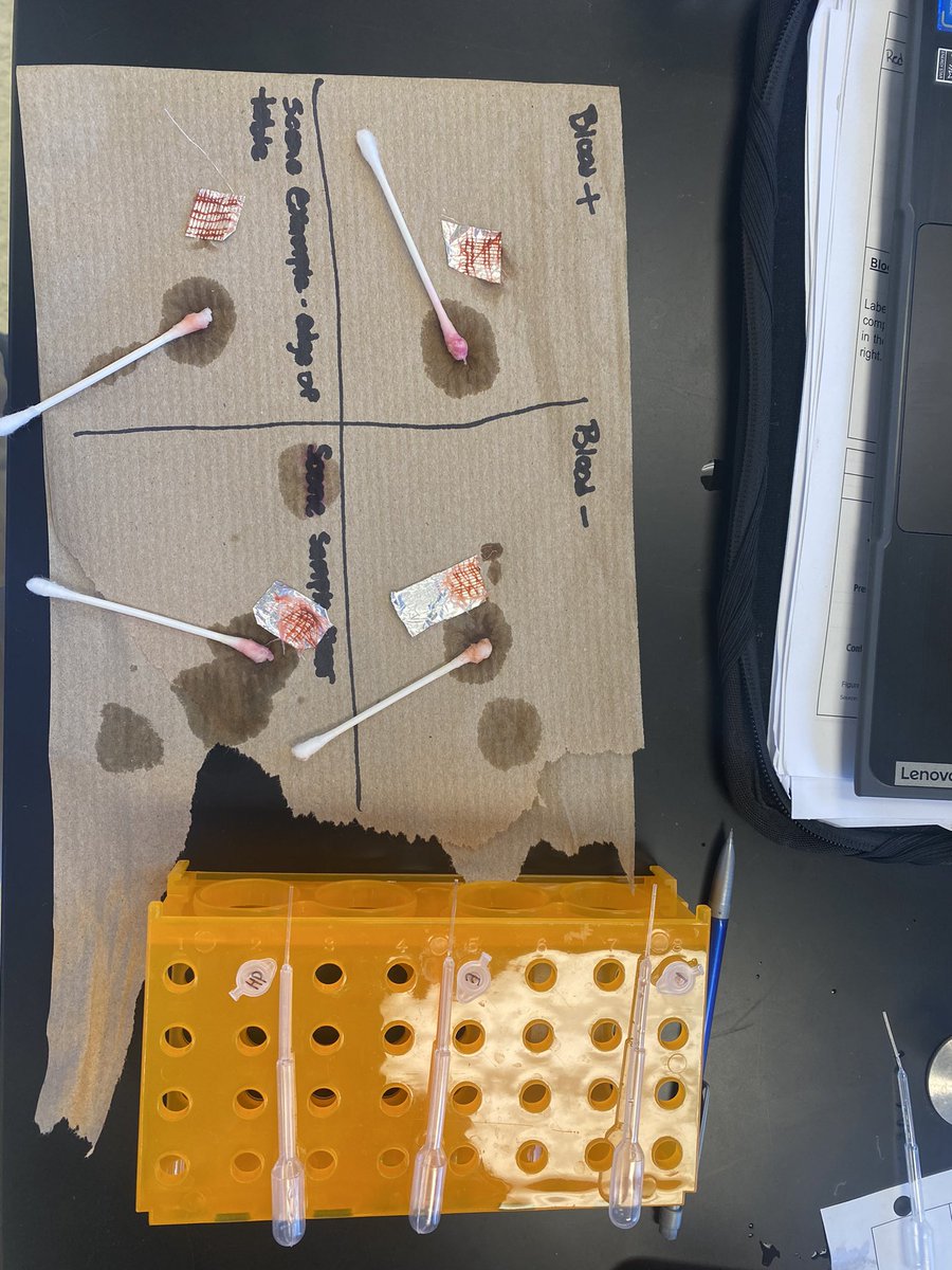 Brooke1102's tweet photo. Testing blood samples #RHSBMS #LearnatRHS #HawleyScience https://t.co/55QR7E1aqq