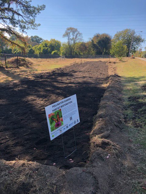 Team HCA and the TN Environmental Council are expanding and maintaining some of Stratford STEM's pollinator gardens. It can take 6-7 years for the gardens to become truly established so it was exciting to see Team HCA back helping out for a second year in a row!