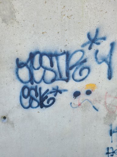 Rama_Police's tweet photo. There has been vandalism incidents at the Rama First Nation cemetery, Pow Wow grounds and the Skate Park. If you have any information contact PC Charlebois @705-325-7773 or @crimestopperssdm to report anonymously. https://t.co/GnC92t0hl1