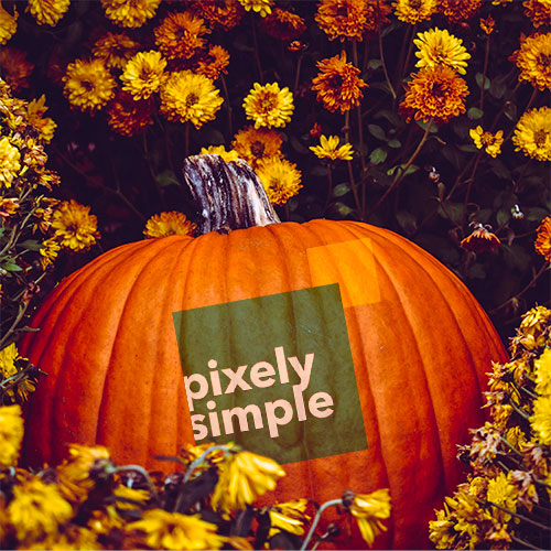 The leaves are changing color, the air is filled with the smell of pumpkin spice, and PixelySimple LLC is looking to help your business with all your digital needs!

ow.ly/BSQr50L7xL3

#supportlocal #smallbusiness #kcmo #visitkc