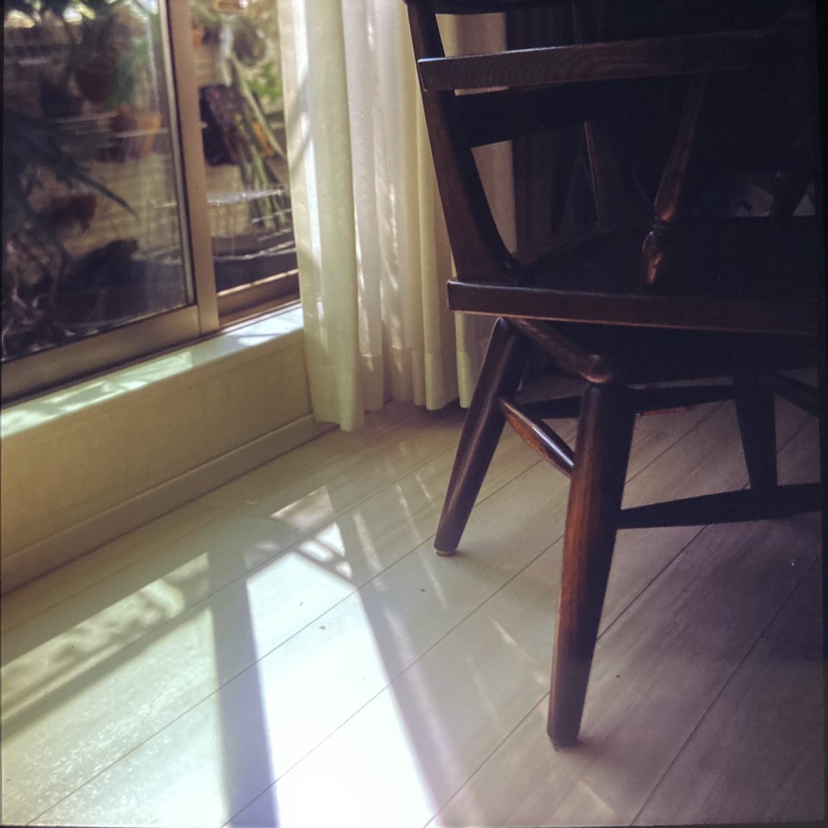hiiragisanaka's tweet photo. 椅子
#AIGLON #angenieux #velvia100 https://t.co/44S5oi0TYN