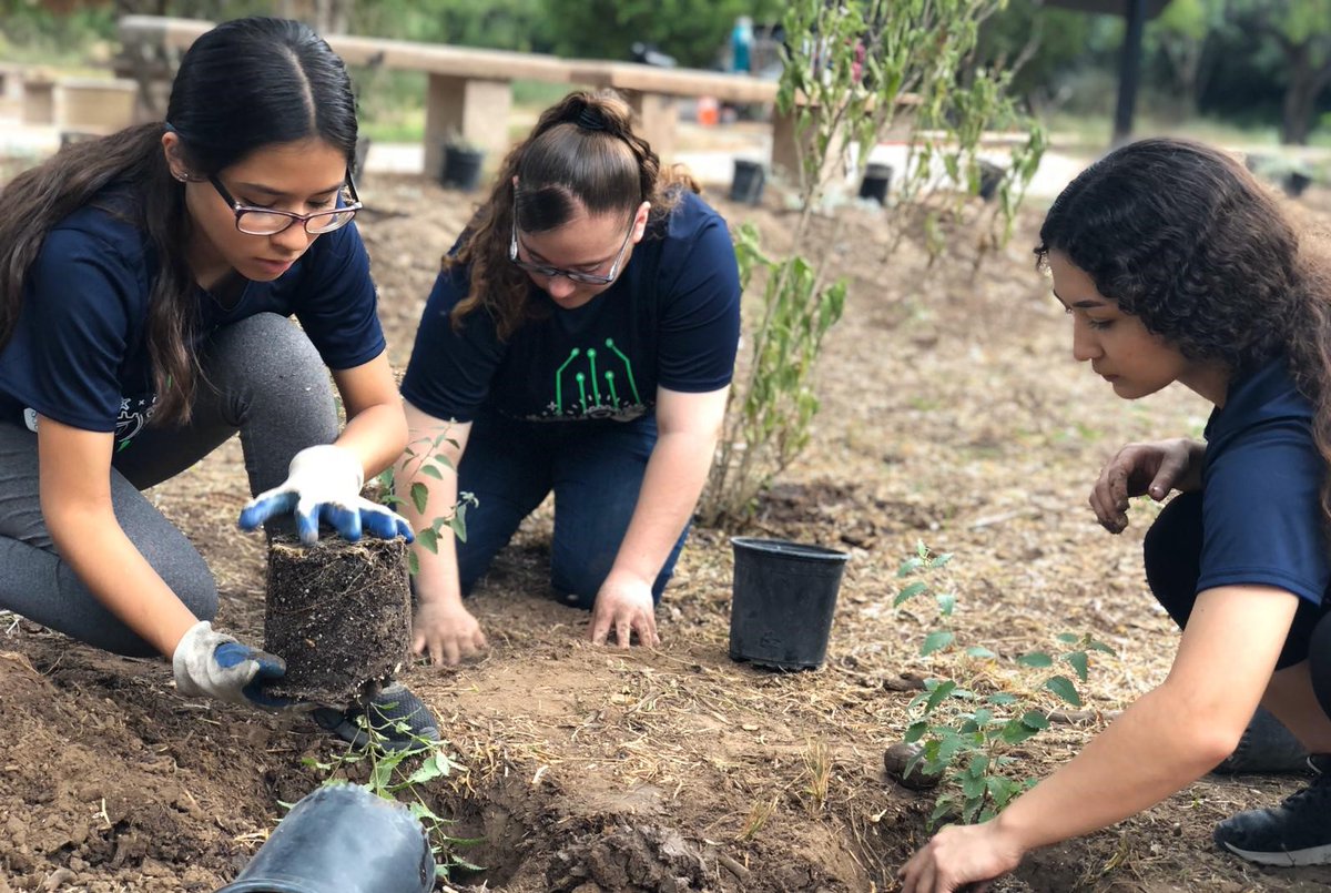CityofMcAllen's tweet image. 🌱@QuintaMazatlan is hosting a TREE GIVEAWAY as part of McAllen’s Native Plant Month Celebration

 Anyone---any school, business, homeowner in the Rio Grande Valley can receive the free tree saplings! 

Info is on flyer posted