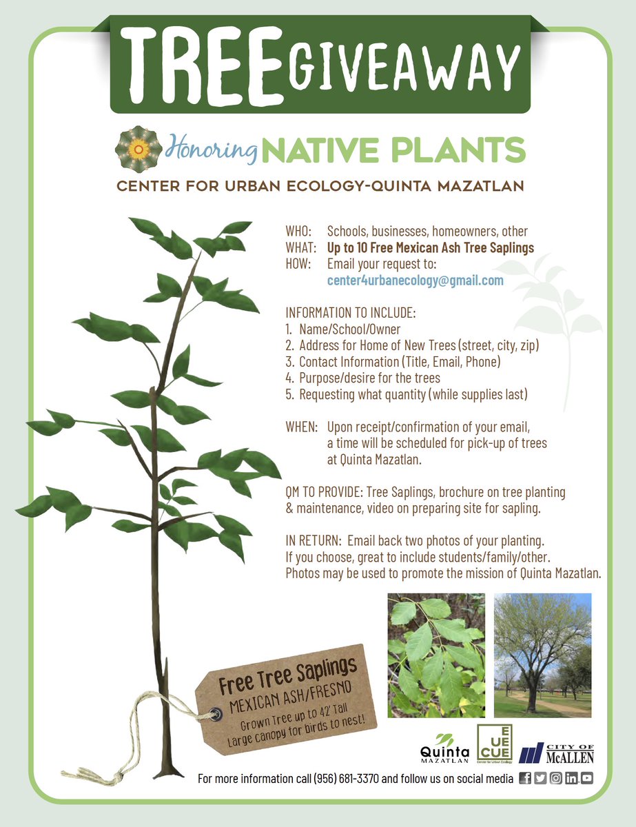 CityofMcAllen's tweet image. 🌱@QuintaMazatlan is hosting a TREE GIVEAWAY as part of McAllen’s Native Plant Month Celebration

 Anyone---any school, business, homeowner in the Rio Grande Valley can receive the free tree saplings! 

Info is on flyer posted