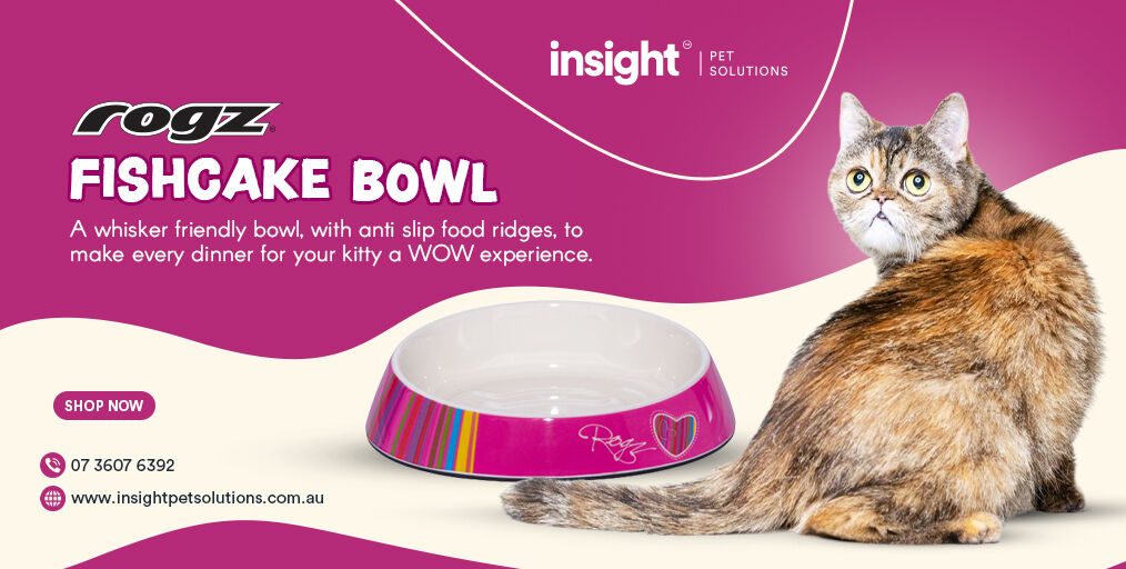 insight_pet's tweet photo. My #furball loves to eat, what about your? Make their meal a WOW experience for them with #ROGZ Fishcake Bowl. Buy similar #catproduct from us!
Visit: https://t.co/2kv9xOPEki
#insightpetsolutions #catbowl #whisker #petcare #food #antislipbowl #cats #catcareskincare #onlinestore https://t.co/Jb62IrFCiY