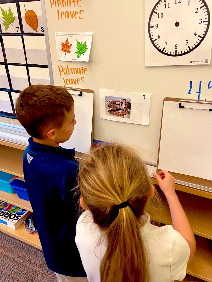 MrsMulligan_AOE's tweet photo. Today we started our new unit on Fossils ! All around the room we explored and looked at the different fossils. Each student looked closely and wrote down what they thought each fossil was and at the end we discussed all the different findings. #aoes https://t.co/GtByppSkSg