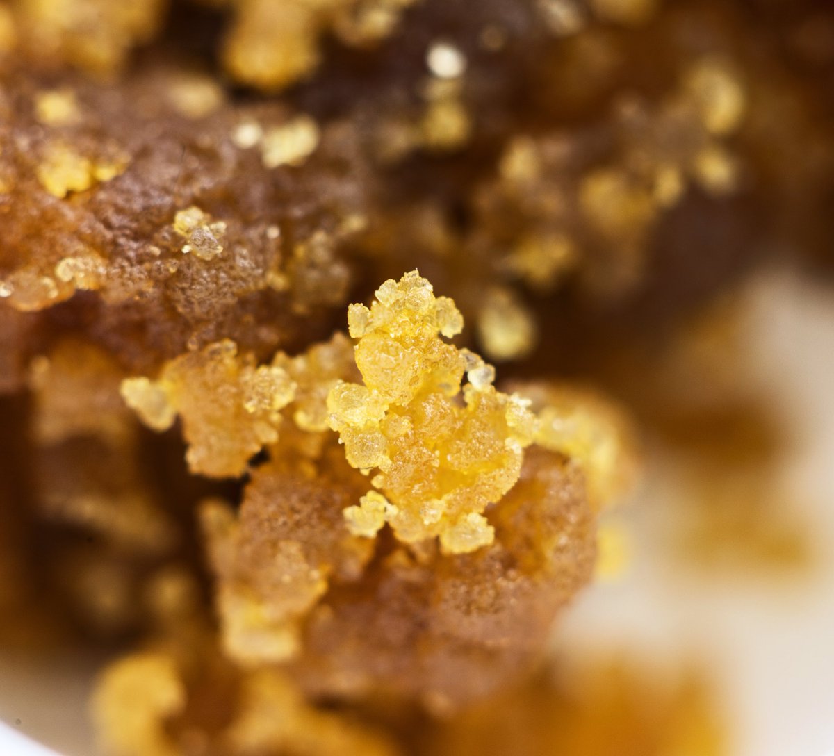 stardustboulder's tweet photo. Galaxy Mints Sugar Wax macro for the Tuesday win 🥇 #StardustConcentrates 
• 
• 
•
•
#StardustConcentrates #Stardust #Boulder #Wax #macro #flavors #mountains #Colorado #vape #cbd #relaxing  #hash #sauce #terps #inthelab #fall #relaxing #relax #tuesday 📸: @ThcSamuel https://t.co/JsQoCGevBC