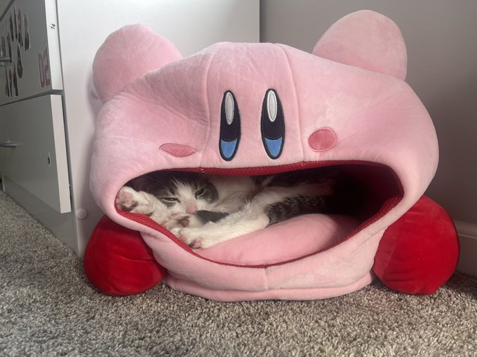 Watch Lauren 🧚🏻‍♀️'s leaked NSFW photo on TwXstars