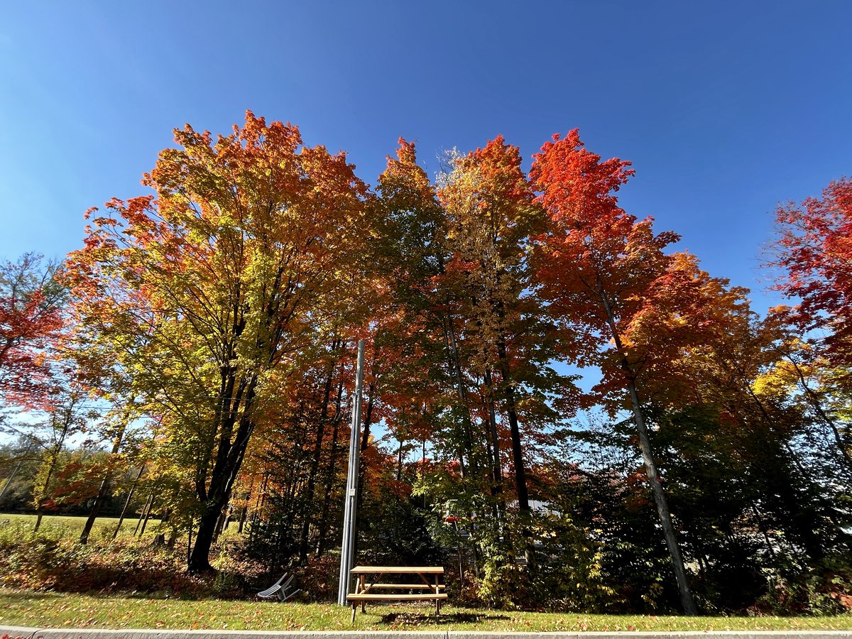 Tim Sutton tweet media