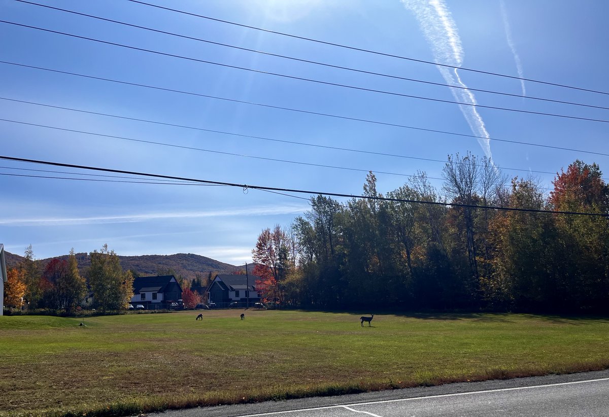 Tim Sutton tweet media