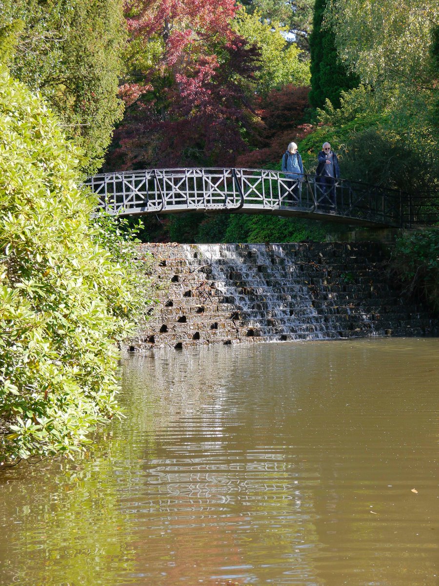MrPayney's tweet photo. My favourite season and the perfect weather to visit the beautiful @sheffieldparkNT @southeastNT @nationaltrust https://t.co/KBSUHps1GZ