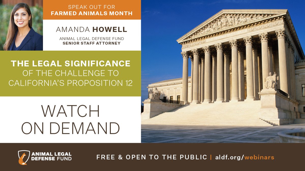 WATCH: Today, the US Supreme Court heard oral arguments on California's #Prop12. Amanda Howell, @ALDF Senior Staff Attorney, provides background and context for the hearing and the ultimate decision in National Pork Producers Council v. Ross: youtube.com/watch?v=trWGfC… #SOFAM