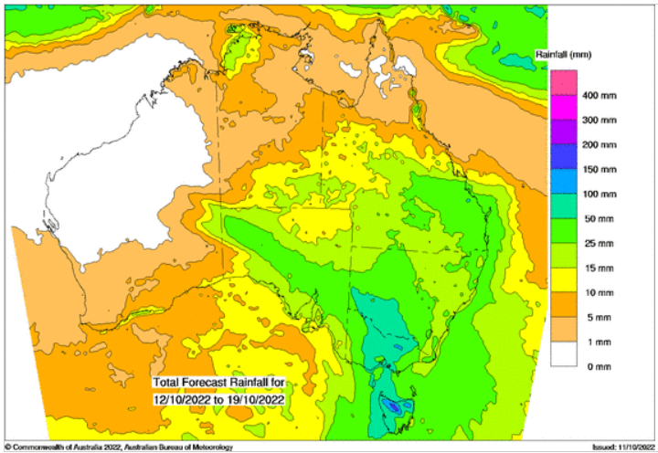 Shane Fitzsimmons tweet media