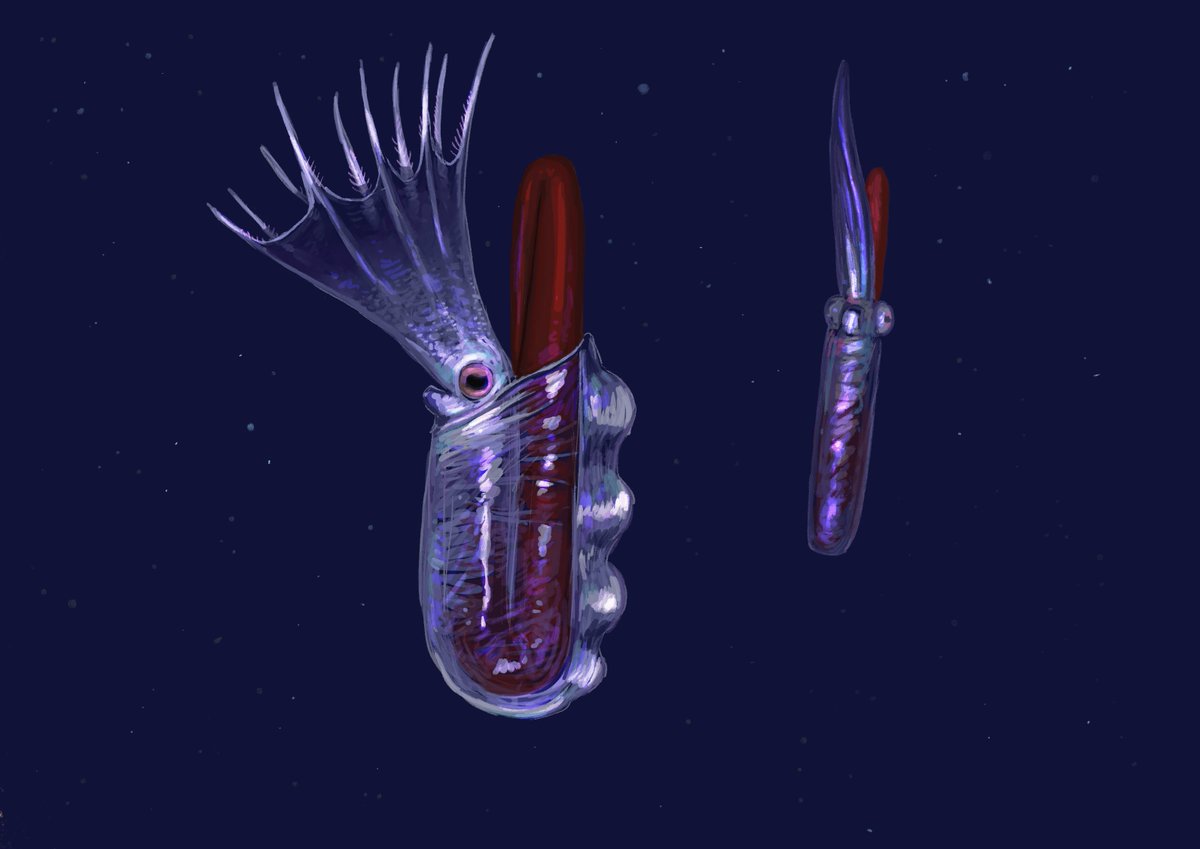 JoschuaKnuppe's tweet photo. Oh snap, it's #PortfolioDay! 
I do stuff with critters, many of them dead, many of them stupid looking. And when they are not stupid enough I make them more stupid! https://t.co/fLRBezpdWX