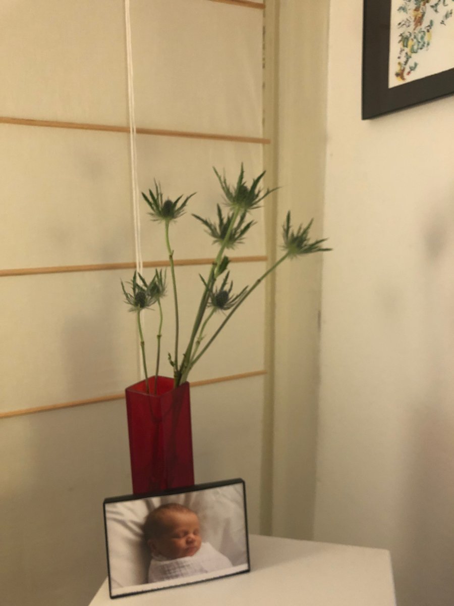 acupointdp's tweet photo. Working with IVF Moms!! Lots of happy parents !! Acupuncture for fertility needs. Win win situation. https://t.co/AXDS2VCllH