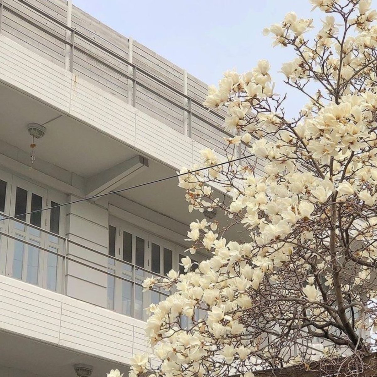 •  ࣪ ▸ ִֶָ ₊ೆ ̖́‧ THIS OR THAT (canciones de gg ver.)
                                                                    abro h!lo ఌ ↲