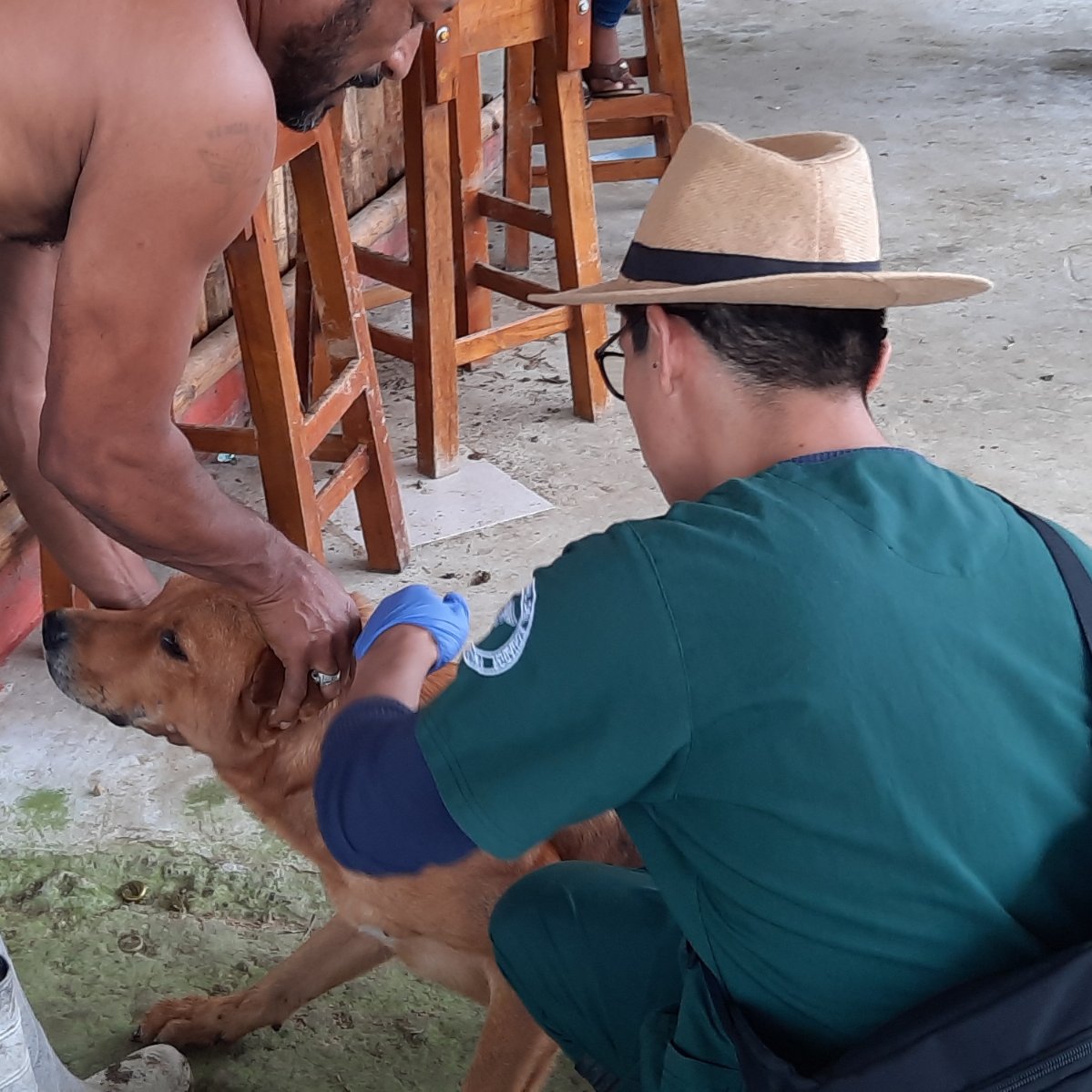 Un día siendo médico rural vacunando pacientitos caninos 🐶