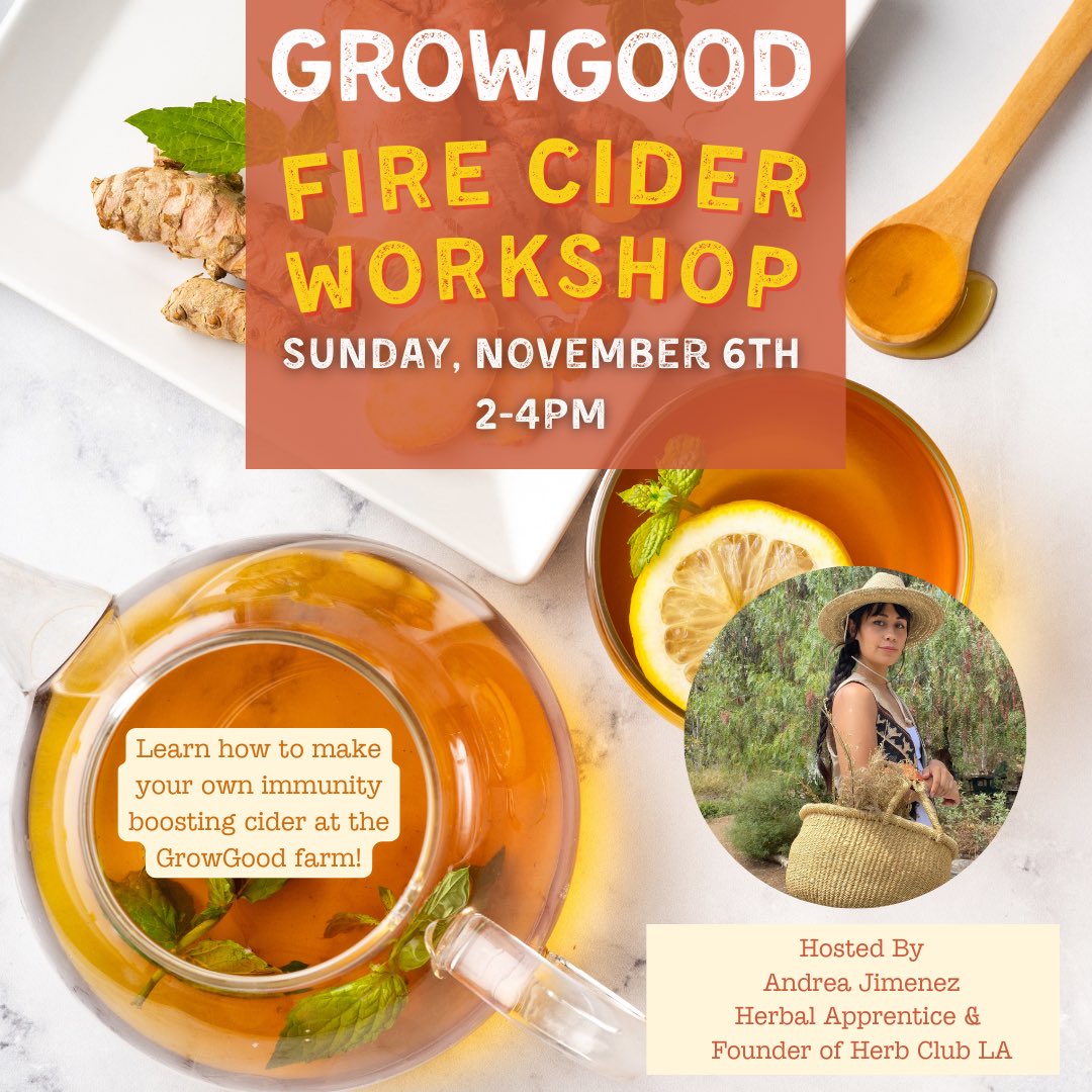 WeGrowGood's tweet photo. We are excited to announce our first fall workshop! Learn how to make the immunity-boosting fire cider right at our farm in Los Angeles. Register here: https://t.co/zsER9gn6sZ

#Farm #CityofBell #Nonprofit https://t.co/cYaTsQ9L4z