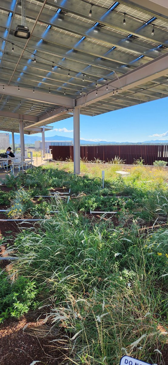 I got to go on the roof of ENR2 today! PhD candidate <a href="/saltysaguaro/">Kai Lepley</a> gave an incredible talk about agrivoltaics. Did you know, that by utilizing agrivoltaics, farmers in the Tucson area can produce the same yields they're accustomed to while reducing their water usage by 50%!? ,🤯