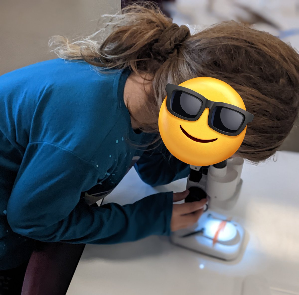 Birding With Barba tweet media