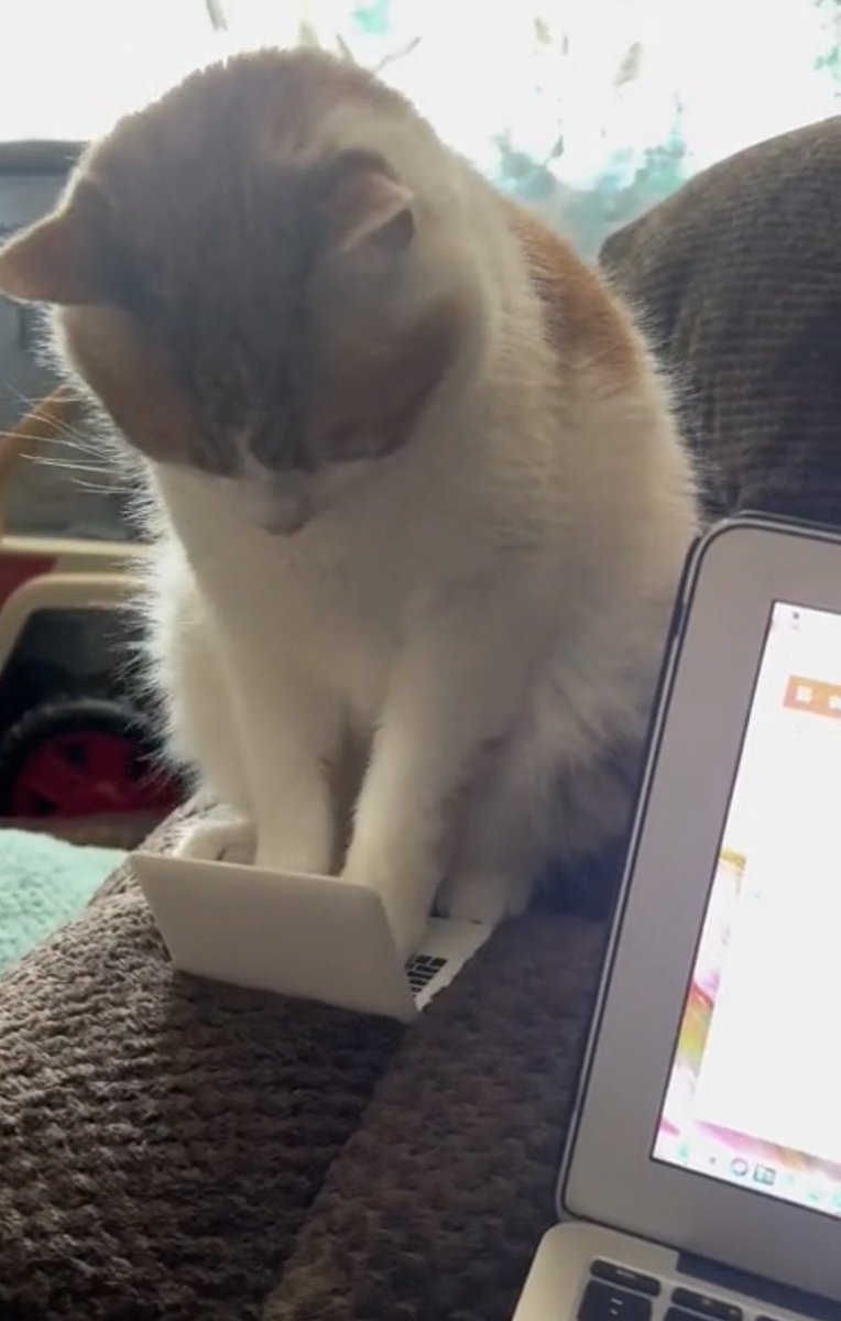 A little purr programming session