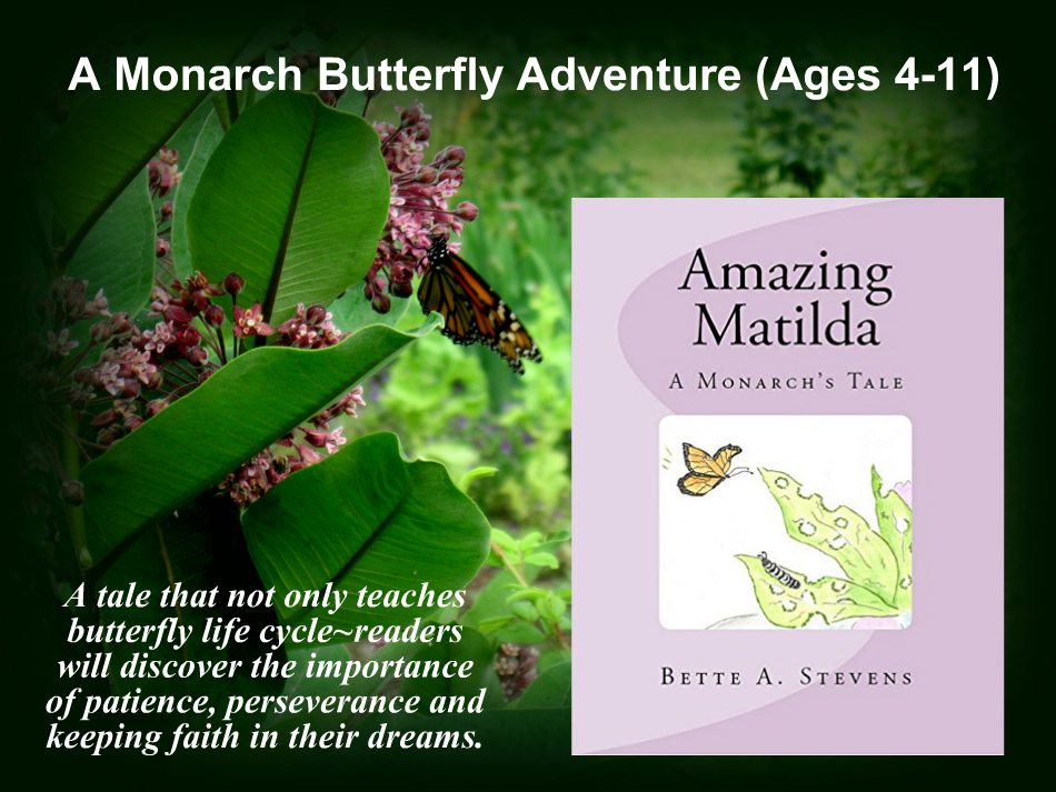 BetteAStevens's tweet photo. AMAZING MATILDA
“A perfect book for children to teach them about the cycles of life and the importance of patience, perseverance, and keeping faith in a dream.” –Reader #Review #AmazingMatilda #ChildrenFiction https://t.co/GjKvL9qRc1 https://t.co/vXaTZyRHHw