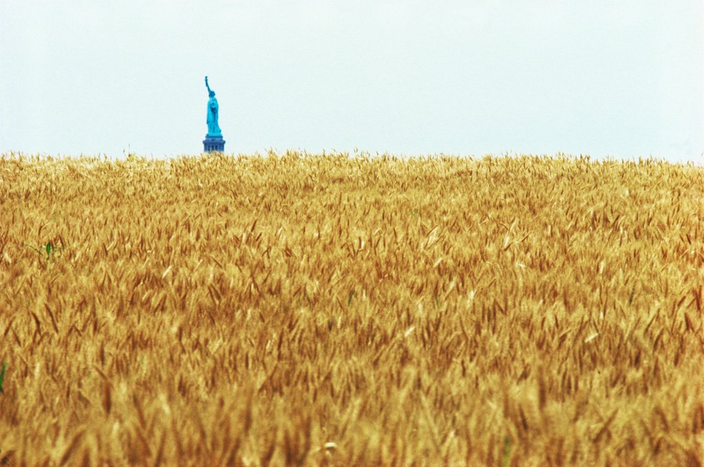En 1982 la artista Agnes Denes cultivó 8.000 m2 de trigo en Manhattan, en la zona donde se había vertido la tierra excavada para los cimientos del World Trade Center. La instalación, enmarcada dentro de la corriente llamada "land art", dejó imágenes llenas de simbolismo.