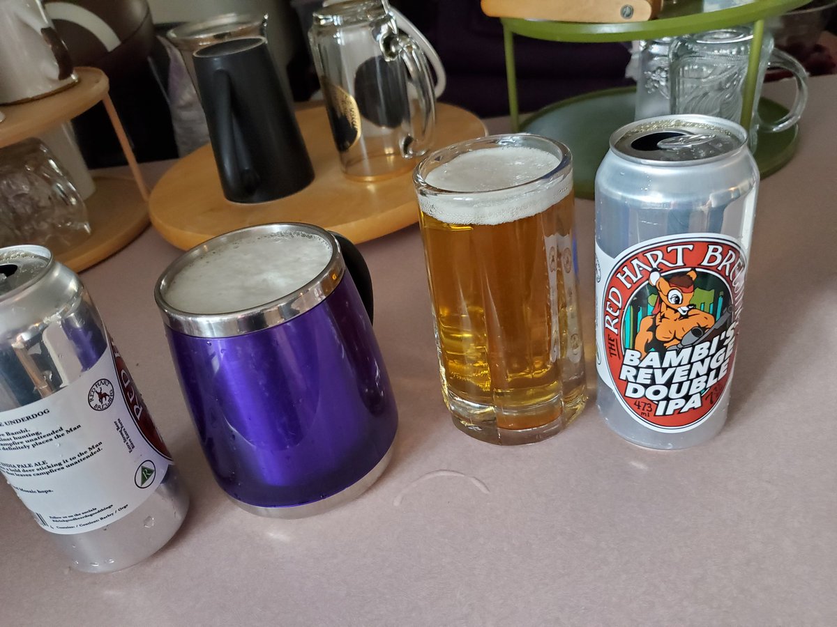 Trent Allan Mitchell tweet media