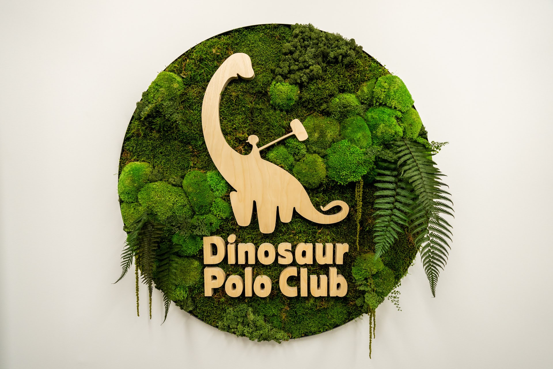 Dinosaur polo club on twitter drum roll please introducing dino hq