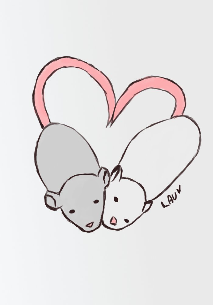 nocthara's tweet photo. #mices #drawn https://t.co/K89Zjg6yC5
