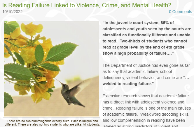 “In the juvenile court system, 85% of adolescents and youth seen by the courts are classified as functionally illiterate and unable to read."

groupcentered.com/reading-blog/i…