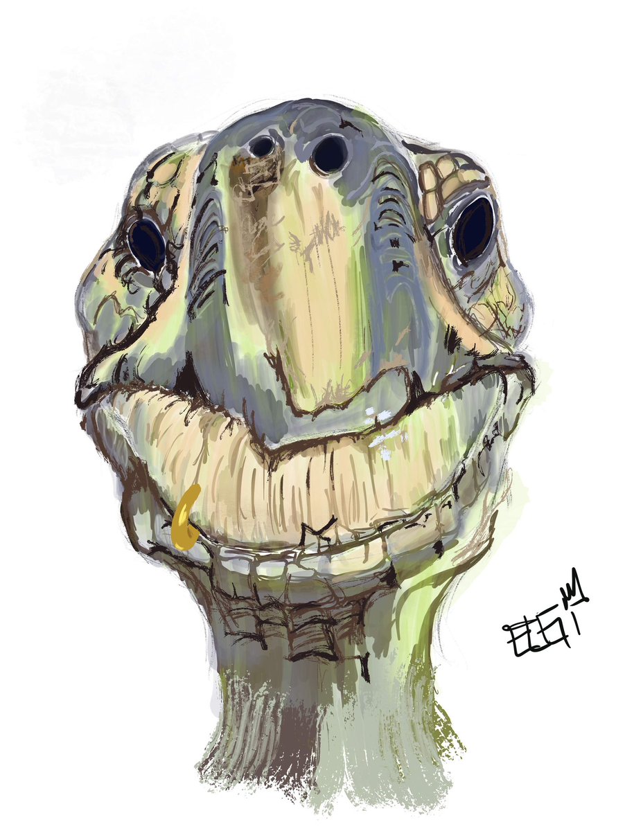 donwangugi's tweet image. Happy #PortfolioDay come a long way last few years