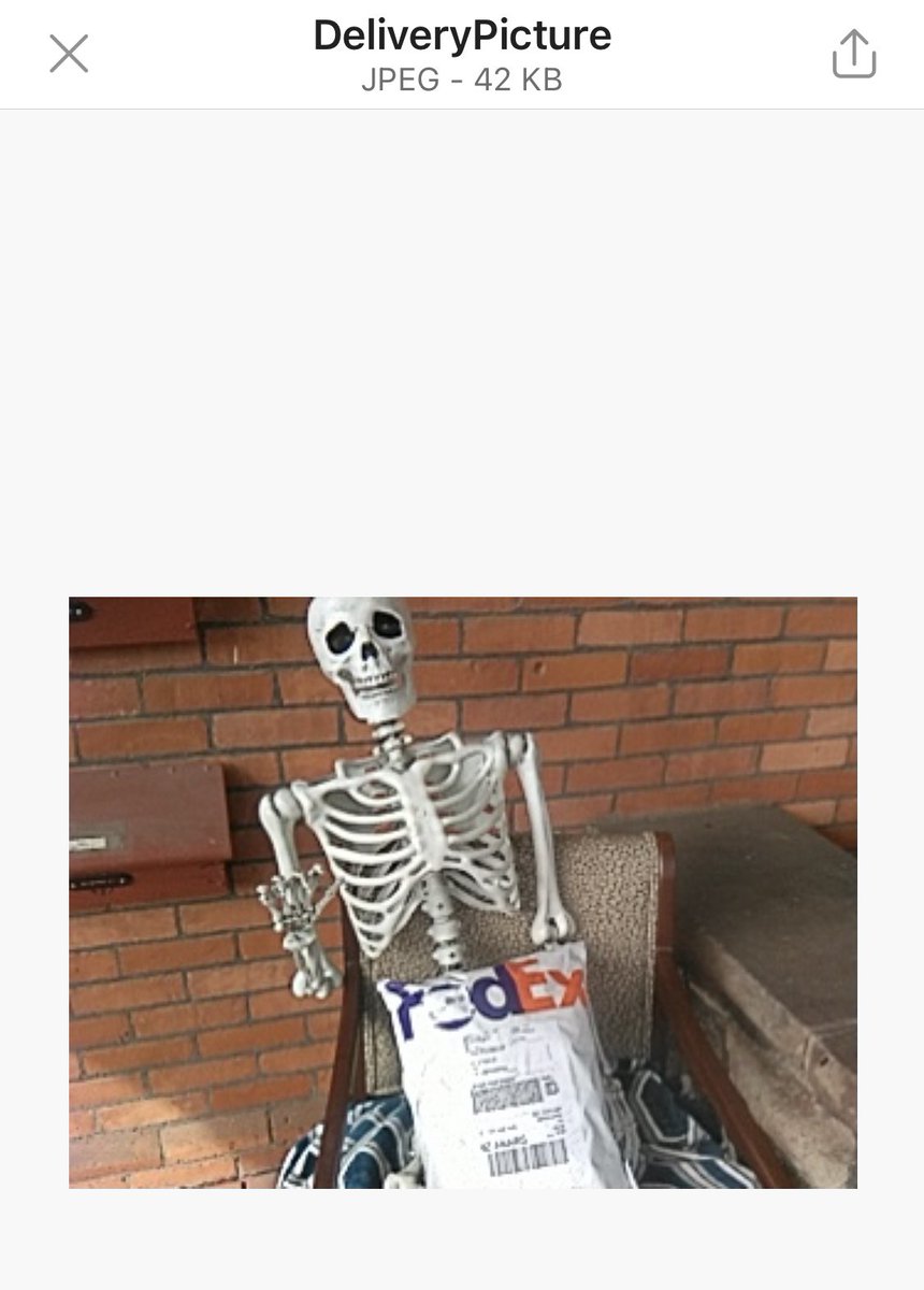 Thank you <a href="/FedEx/">FedEx</a> for this confirmation of delivery picture. Made my day. 💀🎃👻