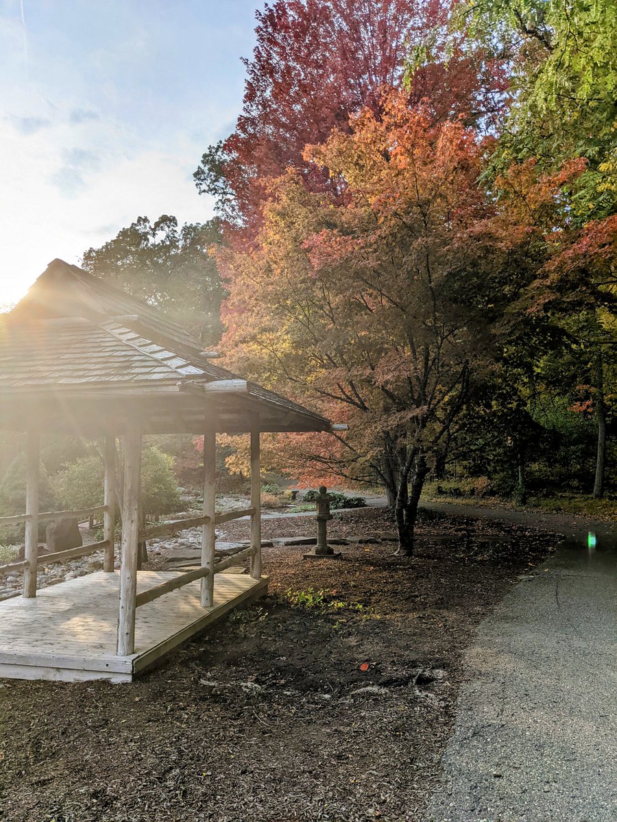 The path to the banquet hall is dreamy. Although the images don't do justice to the majestic sound of wind sloshing around. #ASE2022  #Conference #dinner