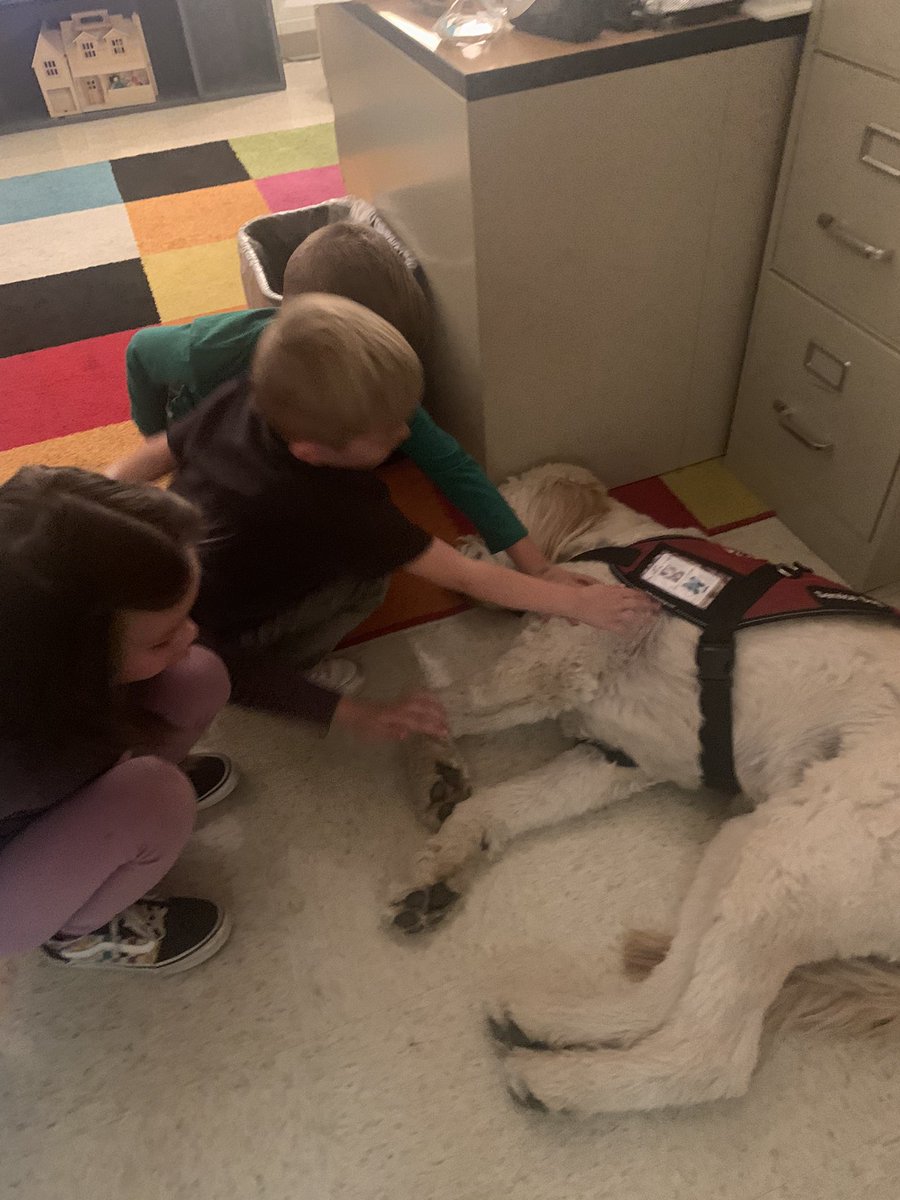 MECC_Counselor2's tweet photo. Gibson was in the 💙 zone today! 😴 He loved all the 💚 & affection, even if he was snoring! Kindergarteners 💚 this “gentle giant”! #MVPs #MostValuablePups #GibsonSparkles @schatzj9 @MrsBly_MECC @MasonSchools https://t.co/bopBCZ4YMx