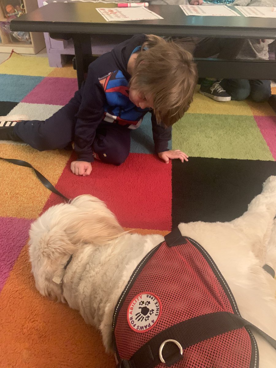 MECC_Counselor2's tweet photo. Gibson was in the 💙 zone today! 😴 He loved all the 💚 & affection, even if he was snoring! Kindergarteners 💚 this “gentle giant”! #MVPs #MostValuablePups #GibsonSparkles @schatzj9 @MrsBly_MECC @MasonSchools https://t.co/bopBCZ4YMx